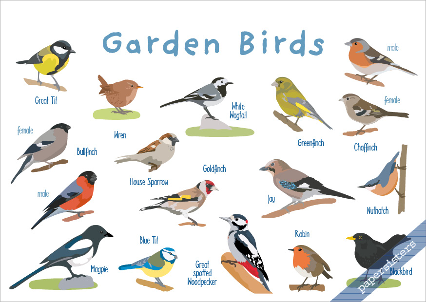 papersisters-Garden-Birds-postcard Garden Birds