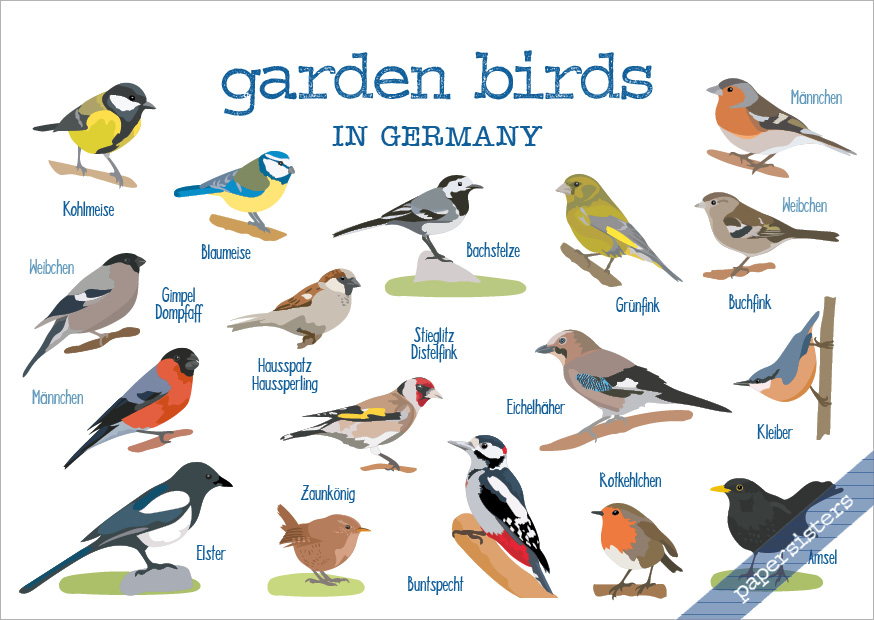 papersisters-Gartenv-gel-Postkarte-Garden-Birds Garden Birds in Germany