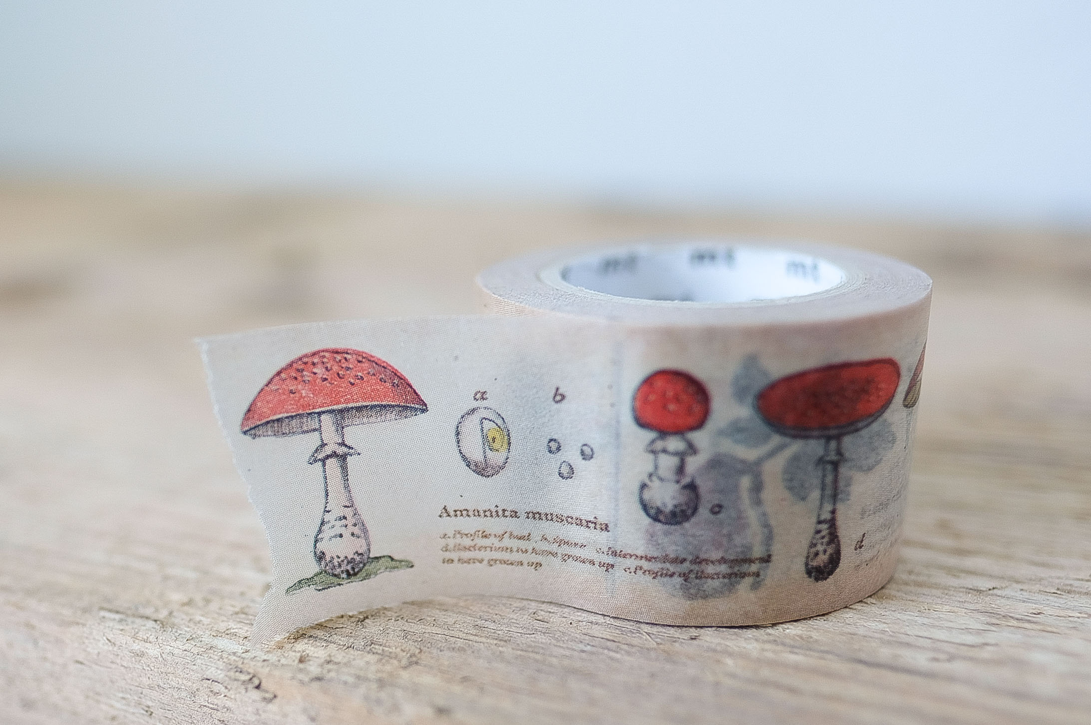 papersisters-mt-ex-plants-Maskingtape-Washitape