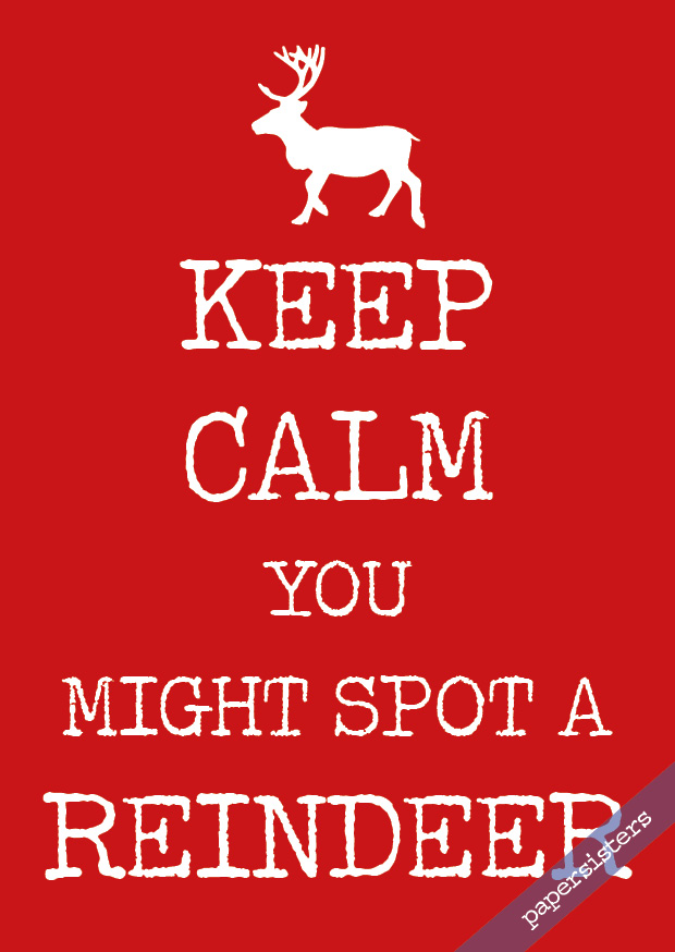 papersisters-Keep-calm-Reindeer-Rentier-Postkarte-Postcard Keep calm Reindeer