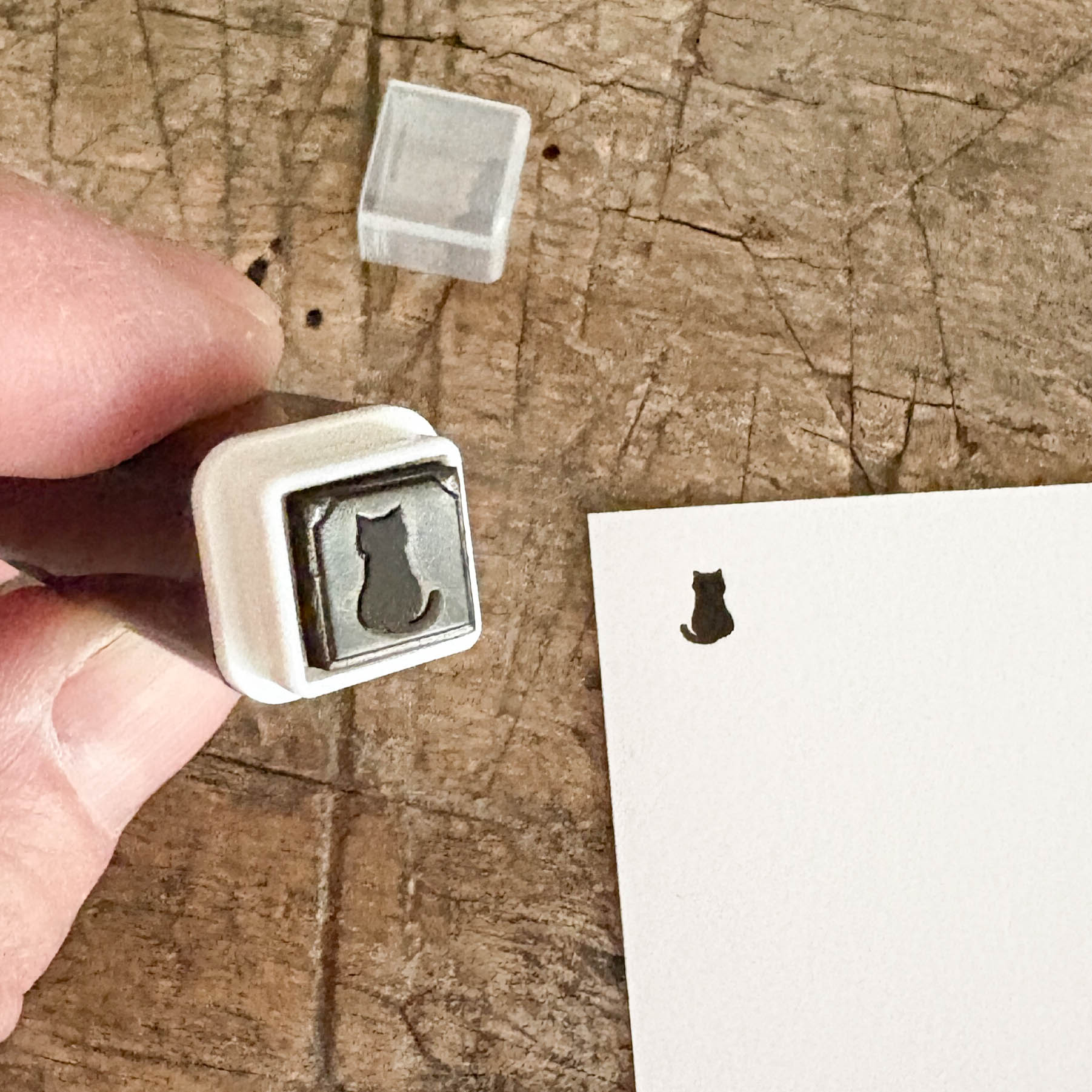 "Cat" Pre-inked ministamp