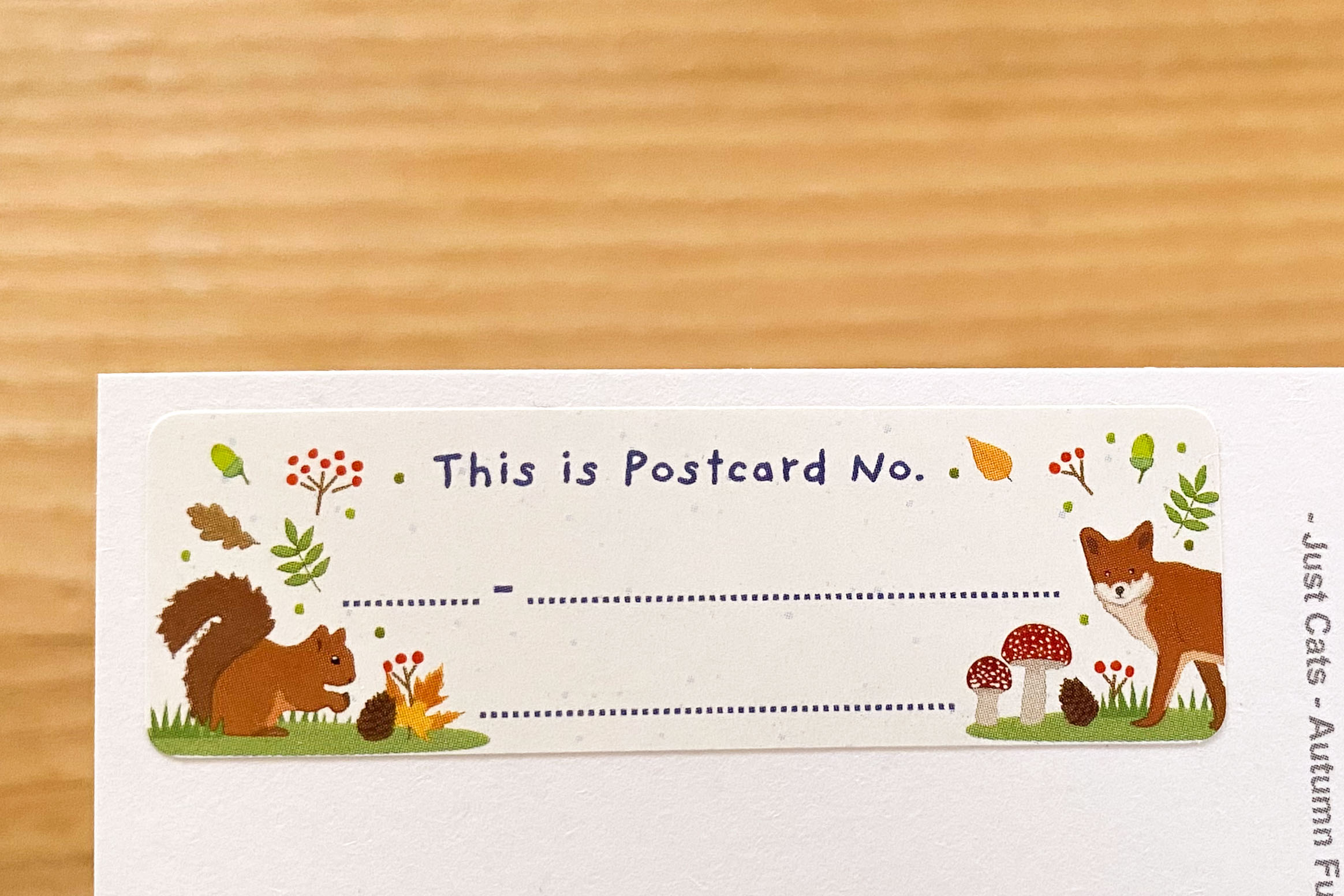 Forest Animals Postcard ID Sticker Set 50 pieces