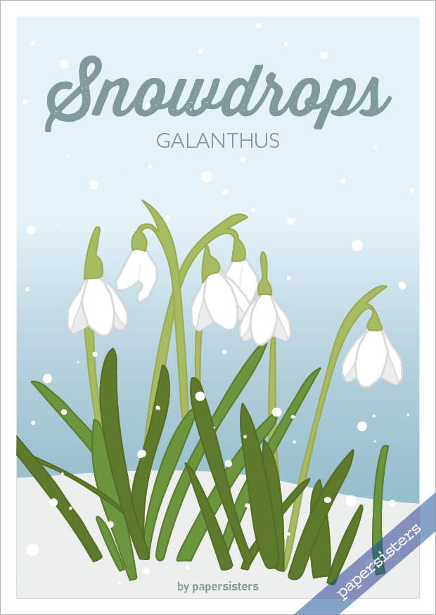 Pretty Flowers - Snowdrops