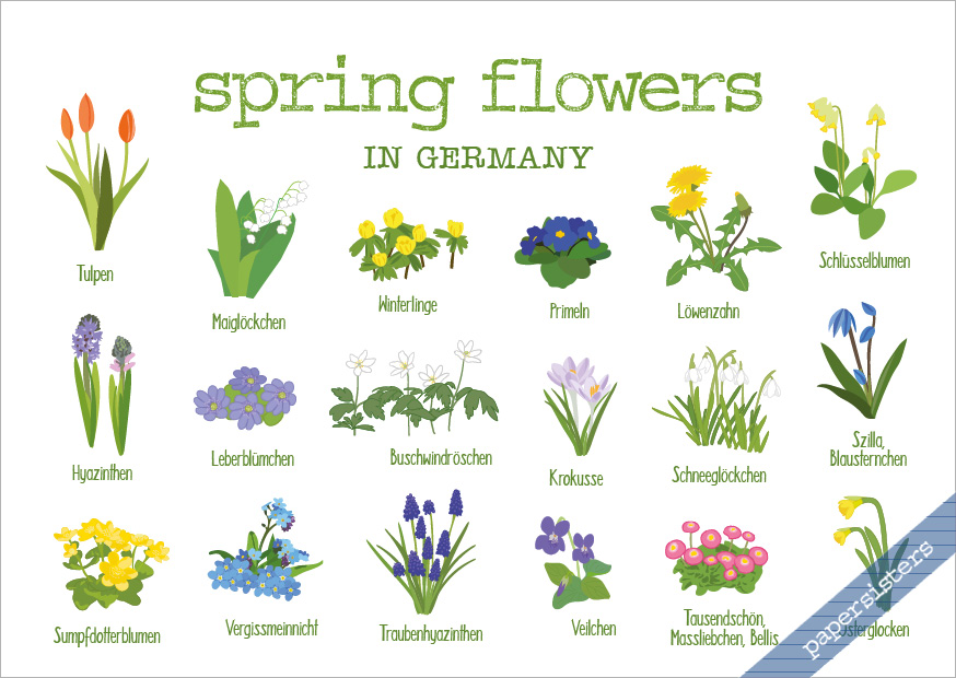 Spring Flowers in Germany