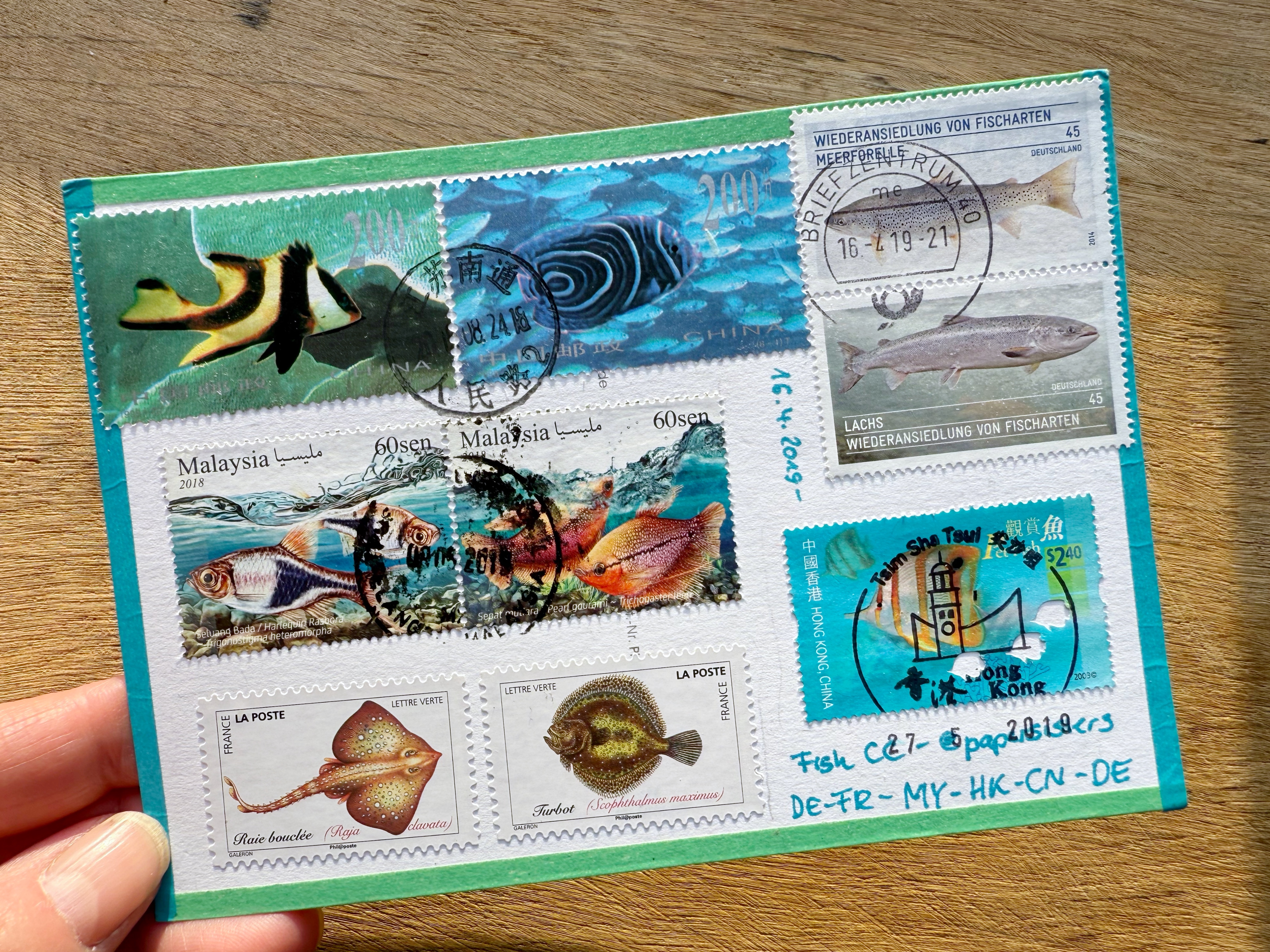 Fish Chaincard Fish Chaincard