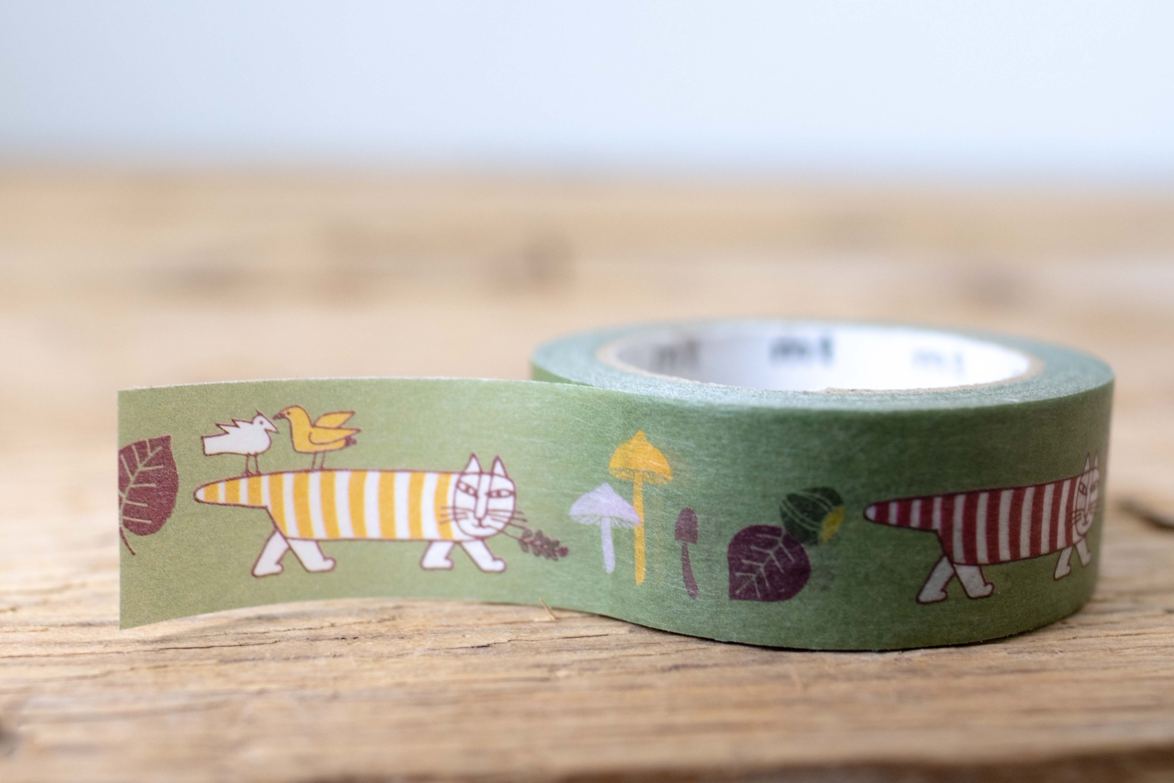 mt masking tape autumn mikey