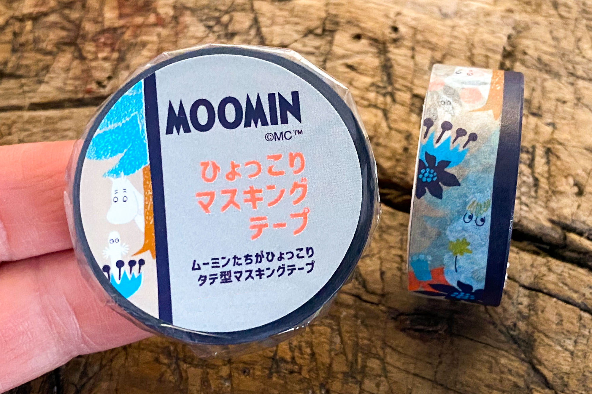 papersisters_moomins_washi_border_blue_green-1