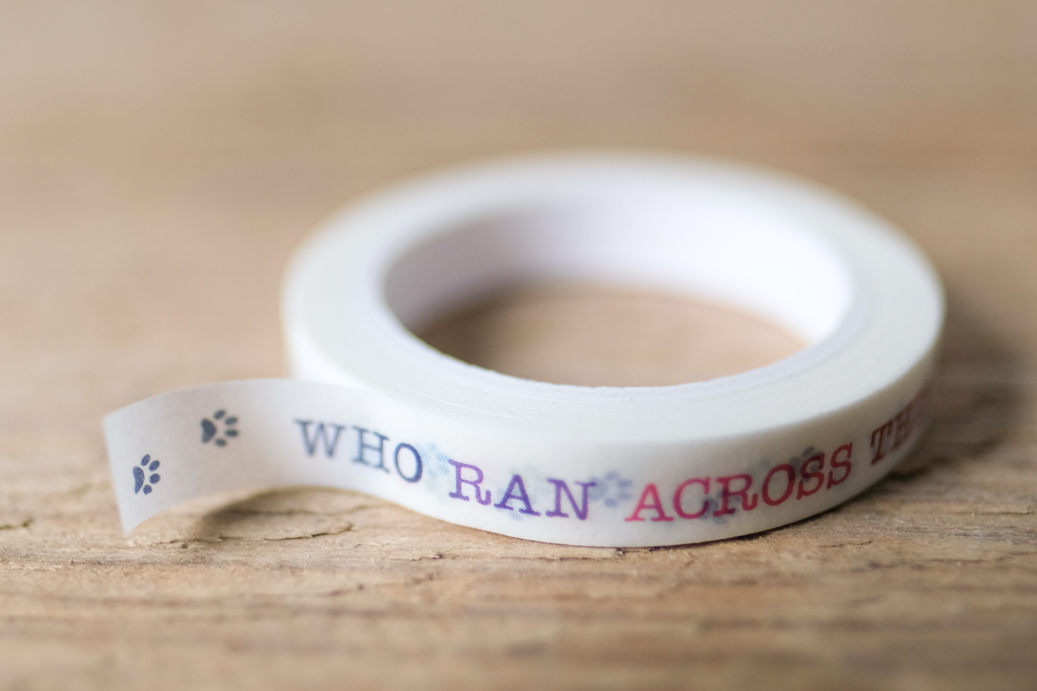papersisters-rainbow-catwalk-Washi-Tape-Maskingtape-1-1