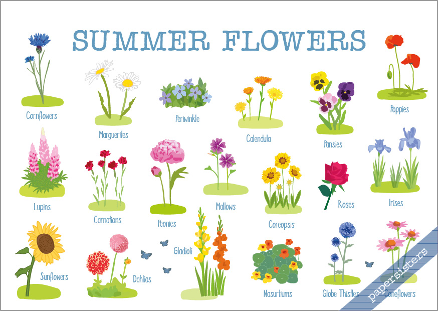 papersisters-Summer-Flowers-postcard